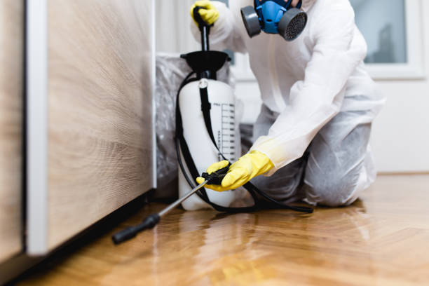 Best Pest Control Near Me  in Crisfield, MD