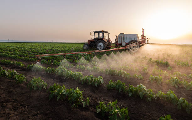 Pest Control Cost in Crisfield, MD