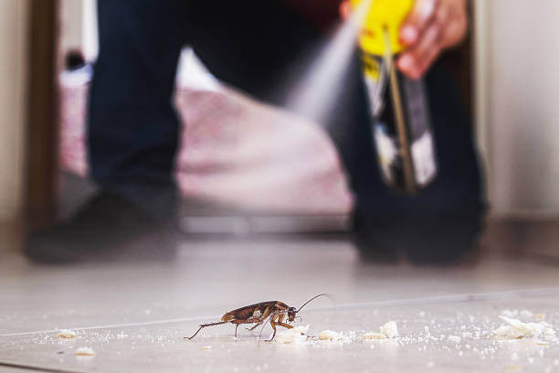 Best Pest Control Near Me  in Crisfield, MD