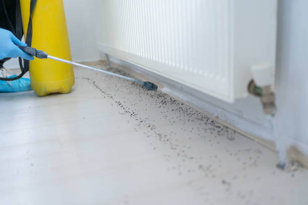 Best Emergency Pest Control  in Crisfield, MD