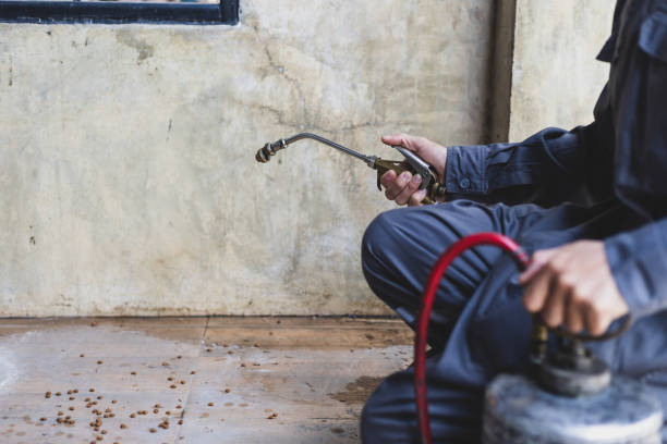Best Pest Removal Services  in Crisfield, MD