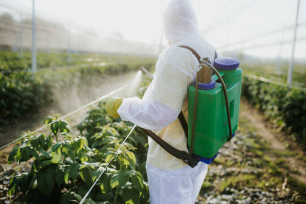 Best Pest Control Cost  in Crisfield, MD